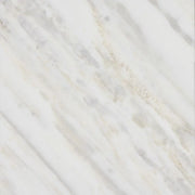 Calacatta Gold 12x12 Polished Marble Tile