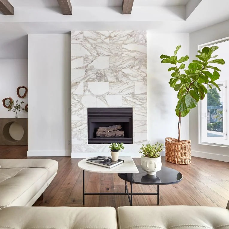 Calacatta Gold 12x12 Honed Marble Tile