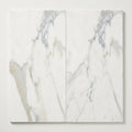 Calacatta Gold (Italian) Marble 18x36 Honed Tile close-up