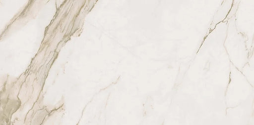 Calacatta Gold Lux 24x48 Semi Polished Porcelain Floor and Wall Tile