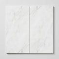 Calacatta Gris 12x24 Honed Marble Tile close-up