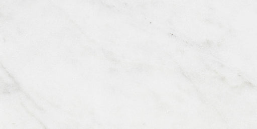 Calacatta Gris Large Chevron Honed Marble Mosaic