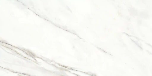 Calacatta Lux Superwhite Rec 23.6x47.2 Porcelain Tile