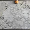 Calacatta Monet Polished Marble Slab