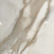 Calacatta Natural Polished 35.4x35.4 Porcelain Tile