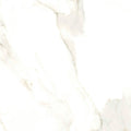 Calacatta Puro 24x24 Natural Porcelain Tile