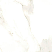 Calacatta Puro 24x24 Natural Porcelain Tile