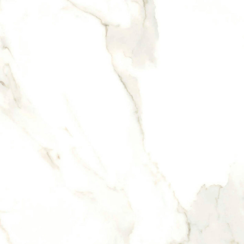 Calacatta Puro 24x24 Natural Porcelain Tile