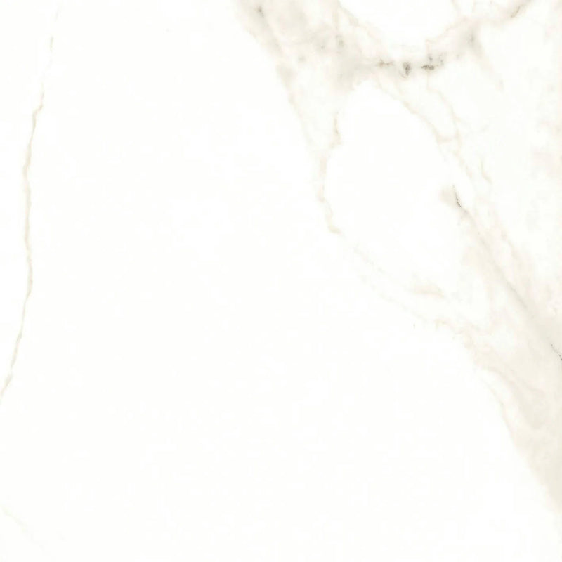 Calacatta Puro 24x24 Natural Porcelain Tile