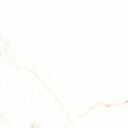 Calacatta Puro 24x24 Natural Porcelain Tile