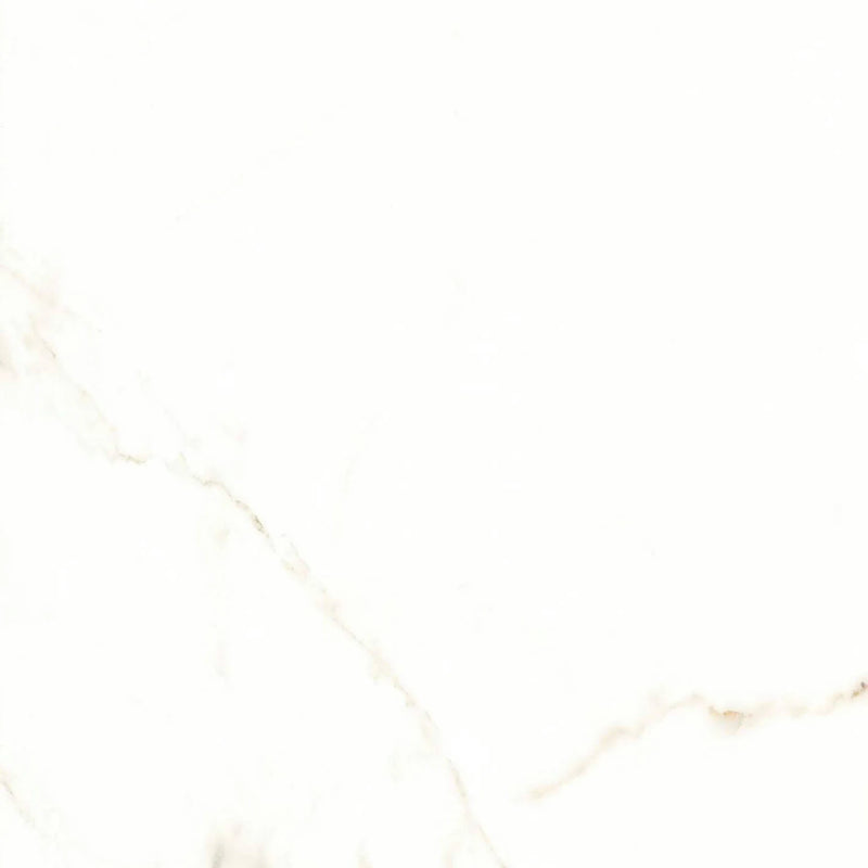 Calacatta Puro 24x24 Natural Porcelain Tile