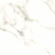Calacatta Puro 24x24 Natural Porcelain Tile