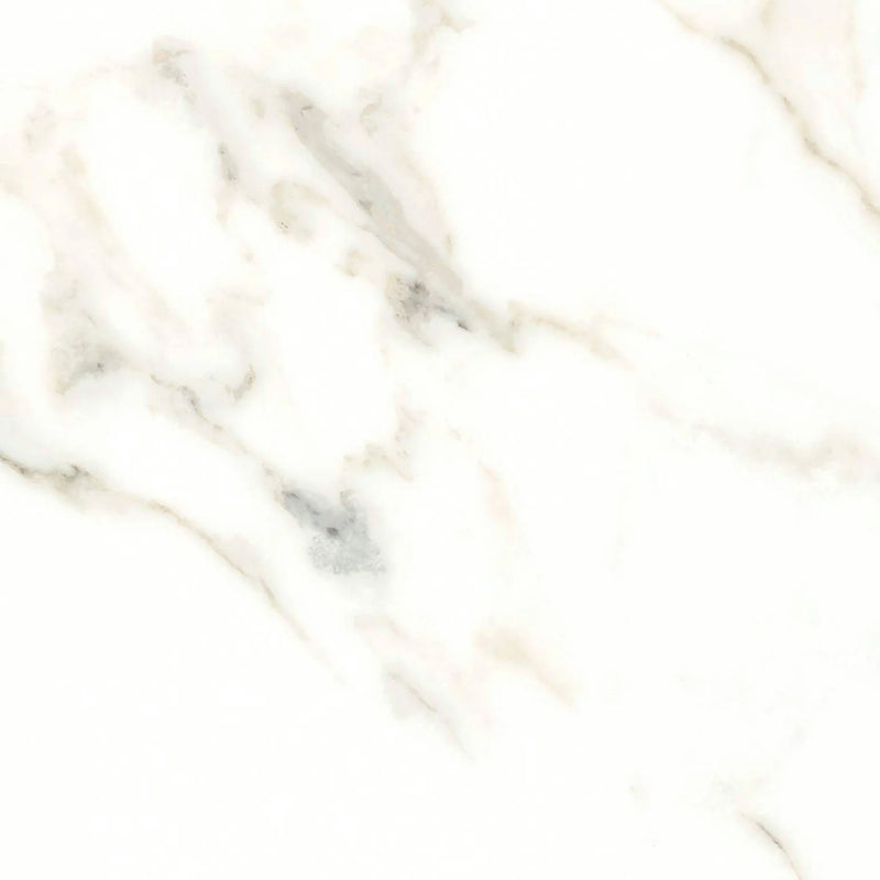 Calacatta Puro 24x24 Natural Porcelain Tile
