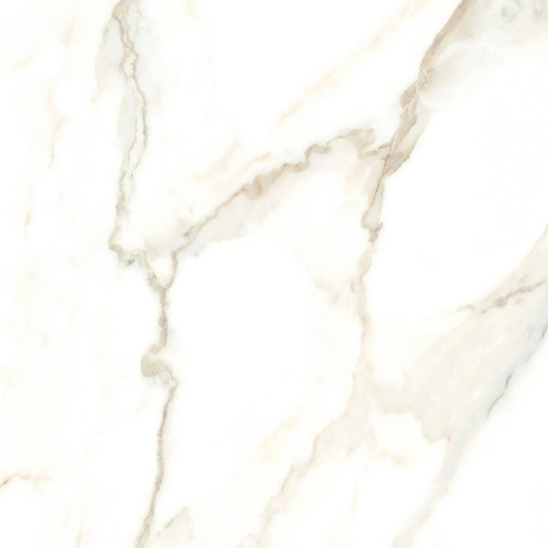 Calacatta Puro 24x24 Natural Porcelain Tile