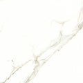 Calacatta Puro 24x24 Natural Porcelain Tile