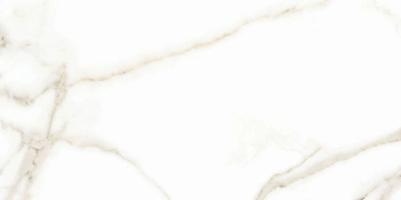 Calacatta Puro 24x48 Natural Porcelain Tile