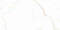 Calacatta Puro 24x48 Natural Porcelain Tile