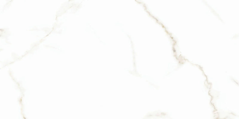 Calacatta Puro 24x48 Natural Porcelain Tile