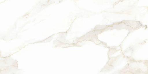 Calacatta Puro 24x48 Natural Porcelain Tile