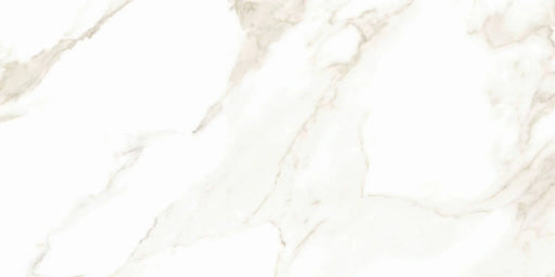 Calacatta Puro 24x48 Polished Porcelain Tile