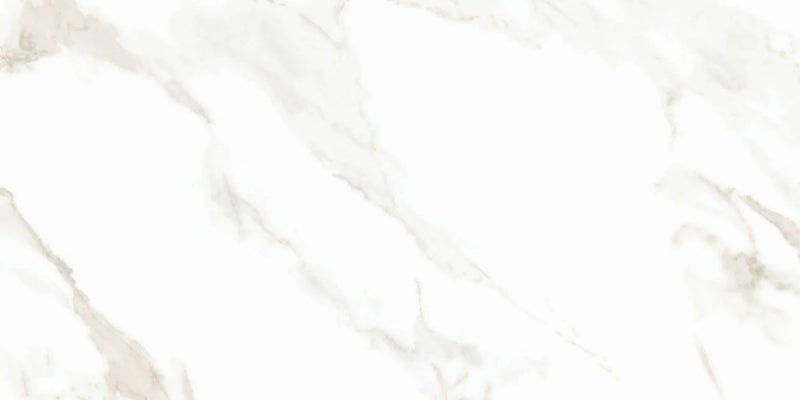 Calacatta Puro 24x48 Polished Porcelain Tile