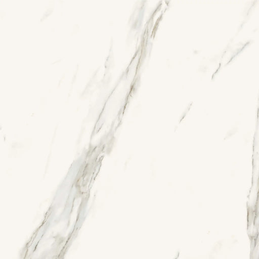 Calacatta Superwhite 35.4x35.4 Rectified Satin Porcelain Tile