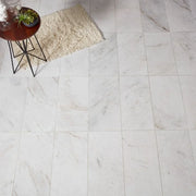 Calacatta Umber 12x24 Polished Marble Tile