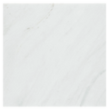 Calacatta Umber 24x24 Polished Marble Tile