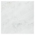 Calacatta Umber 24x24 Polished Marble Tile