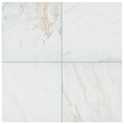 Calacatta Umber 24x24 Polished Marble Tile