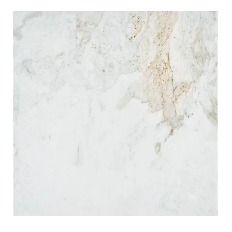 Calacatta Umber 24x24 Polished Marble Tile