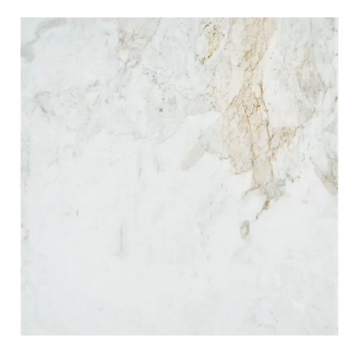 Calacatta Umber 24x24 Polished Marble Tile