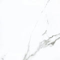 Calacatta 24x24 Matte Porcelain Wall & Floor Tile