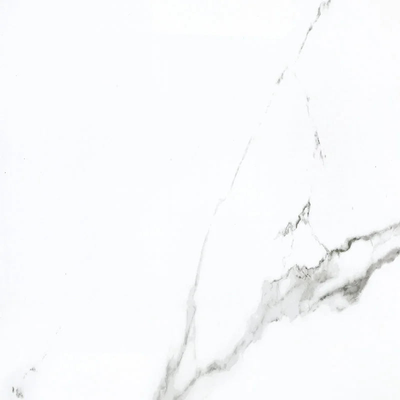 Calacatta 24x24 Matte Porcelain Wall & Floor Tile