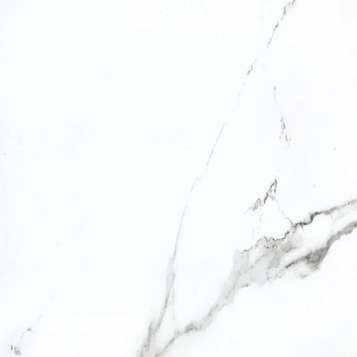 Calacatta 24x24 Matte Porcelain Wall & Floor Tile