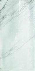 Canal Grande Lux 24x48 Polished Porcelain Tile