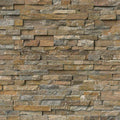 Canyon Creek 6x24 Panel Splitface Quartzite Ledger Stone