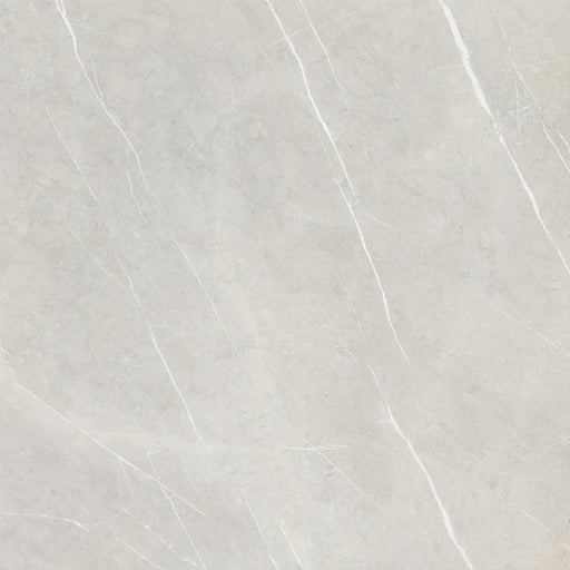 Capri Dark Grey 24x24 Porcelain Paver