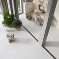 Capri Limestone Tile 18x36 Honed — Living Room floor