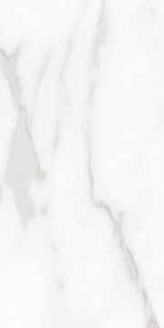 Carenza Bianca 12x24 Matte Porcelain Tile