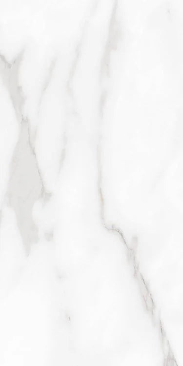 Carenza Bianca 12x24 Matte Porcelain Tile