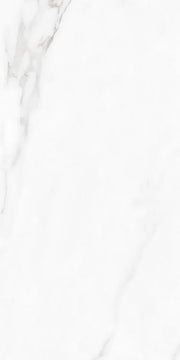 Carenza Bianca 12x24 Matte Porcelain Tile