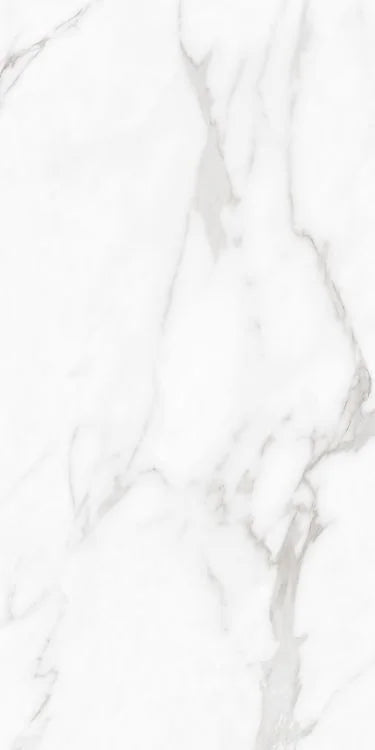 Carenza Bianca 24x48 Matte Porcelain Tile