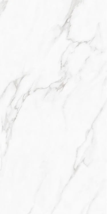 Carenza Bianca 24x48 Polished Porcelain Tile