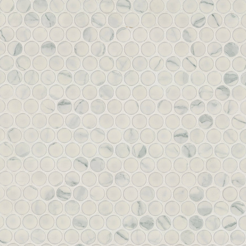 Carrara Penny Round Matte Misc. Porcelain Mosaic Tile