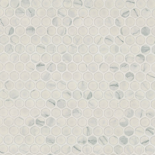 Carrara Penny Round Matte Misc. Porcelain Mosaic Tile