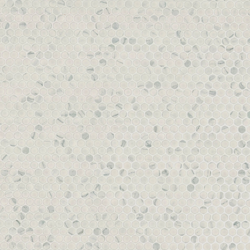 Carrara Penny Round Matte Misc. Porcelain Mosaic Tile