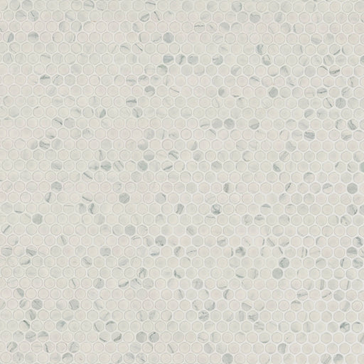 Carrara Penny Round Matte Misc. Porcelain Mosaic Tile