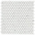 Carrara Premium 2x2 Hexagon Pre Matte Marble Look Porcelain Mosaic