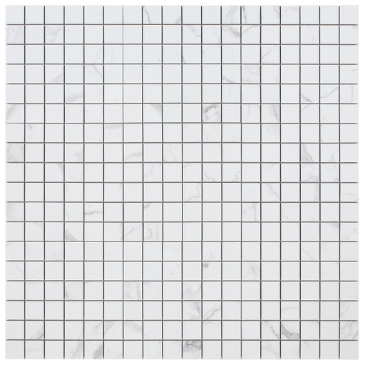 Carrara Premium 2x2 Pre Matte Marble Look Porcelain Mosaic